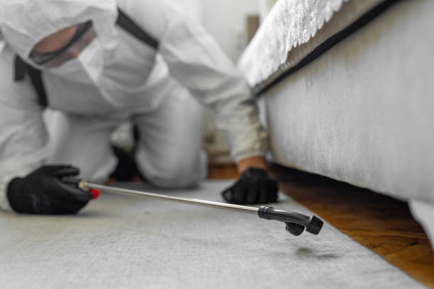 Professional Fumigation Services technician working in South Amherst, OH