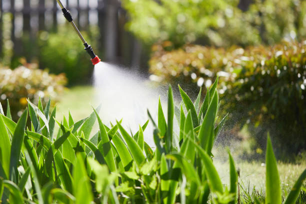 24/7 Emergency Fumigation Services experts in South Amherst, OH